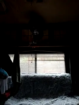 ShawnandDani7074 online show from 22, 2, 2026