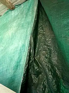 ShawnandDani7074 online show from 15, 4, 2026