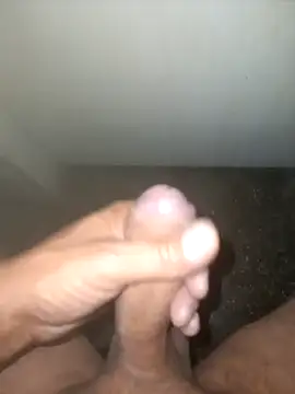 fepintudo online show from 29, 4, 2026