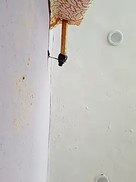 funcreat online show from 11, 9, 2025