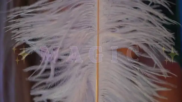 Alvuwkaa online show from 10, 1, 2026