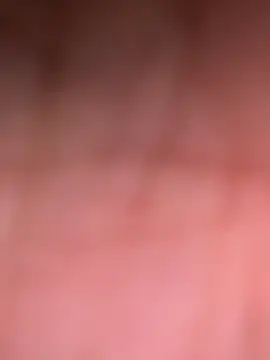 Snapshot of ninjabod chatting on 30, 10, 2025 ninjabod online show from 30, 10, 2025