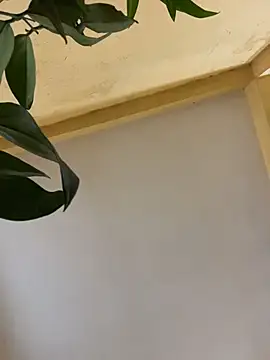 Snapshot of femboyslqueen chatting on 1, 12, 2025 femboyslqueen online show from 1, 12, 2025