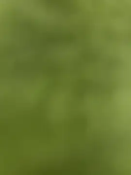 Snapshot of youyou933 chatting on 12, 9, 2025 youyou933 online show from 12, 9, 2025