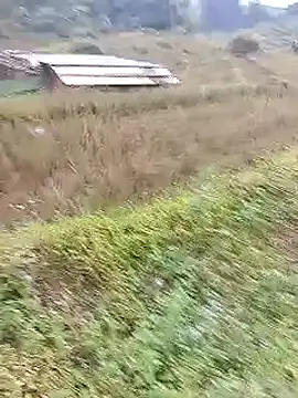 Phuongphuongg online show from 20, 10, 2025