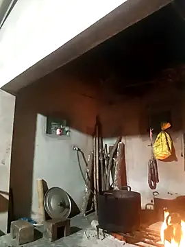 Phuongphuongg online show from 14, 12, 2025