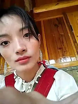 tdtd98 online show from 18, 12, 2025