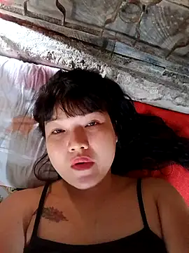 ttd83 online show from 15, 3, 2026