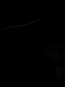 Xharmakesyoufeelorgasms online show from 19, 10, 2025