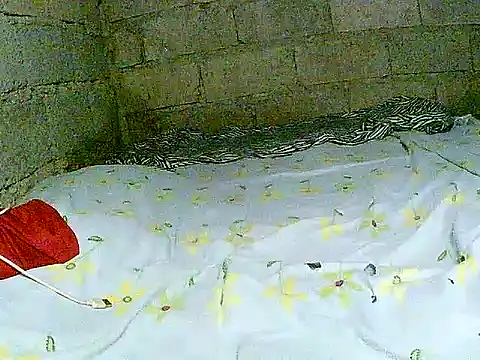 hotmom pinay online show from 1, 12, 2025