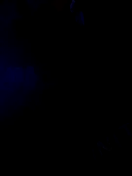 bearcub300 online show from 10, 9, 2025