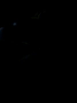 Snapshot of Reeelo chatting on 19, 11, 2025 Reeelo online show from 19, 11, 2025