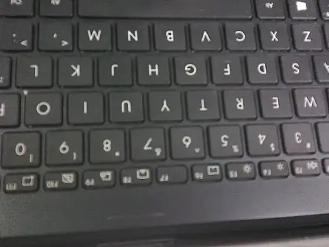 WetWildPussy online show from 23, 9, 2025