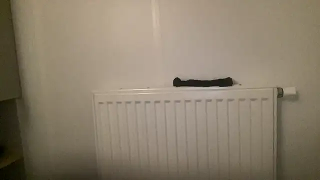 peterpapiNL online show from 13, 1, 2026