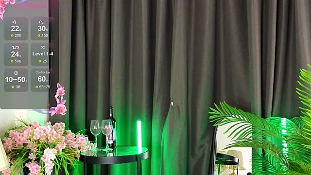 Snapshot of DebiHenks chatting on 31, 5, 2026 DebiHenks online show from 31, 5, 2026