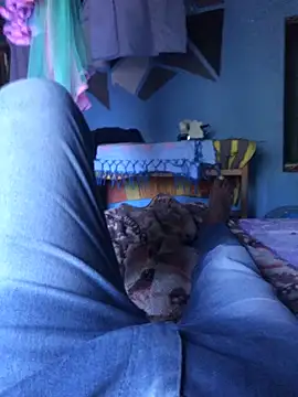 m11a2f3a4z5 online show from 29, 3, 2026