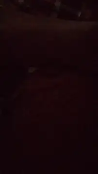 Snapshot of wanderboy1000 chatting on 19, 1, 2026 wanderboy1000 online show from 19, 1, 2026