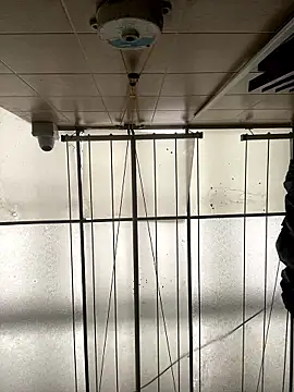 Sallem Pink online show from 16, 1, 2026