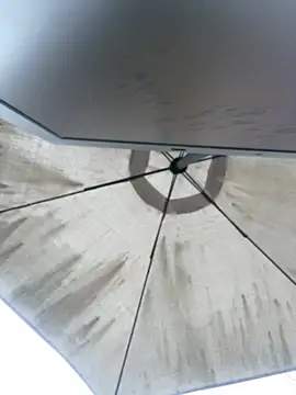 Sallem Pink online show from 4, 4, 2026