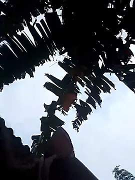 optra34 online show from 22, 10, 2025