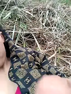 optra34 online show from 28, 3, 2026