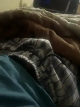 Snapshot of cuttieboii chatting on 25, 4, 2026 cuttieboii online show from 25, 4, 2026