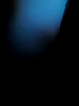 Mancho2289 online show from 13, 4, 2026