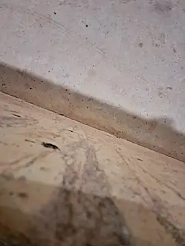 Negodabenga online show from 14, 12, 2025