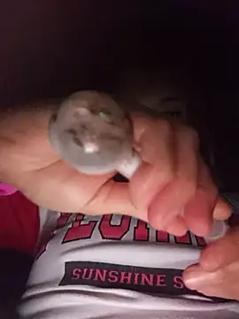 Tuperritahot online show from 31, 3, 2026