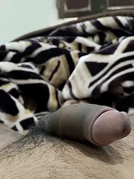 Snapshot of Bull54321 chatting on 14, 2, 2026 Bull54321 online show from 14, 2, 2026