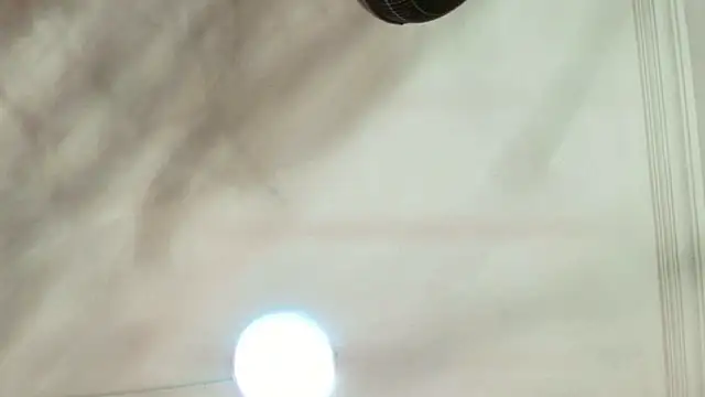 Dixie grey1 online show from 13, 9, 2025