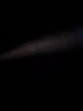 ratoncito 3 online show from 8, 2, 2026