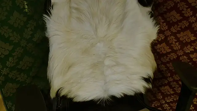 Snapshot of JUSTFORRICH chatting on 20, 4, 2026 JUSTFORRICH online show from 20, 4, 2026