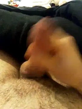 Snapshot of chrisdic27 chatting on 8, 3, 2026 chrisdic27 online show from 8, 3, 2026