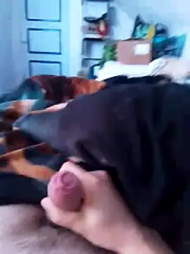 Snapshot of chrisdic27 chatting on 6, 4, 2026 chrisdic27 online show from 6, 4, 2026