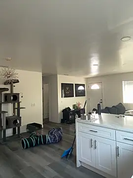 blazeyblake online show from 6, 2, 2026