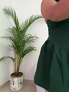 Ariana2017 online show from 24, 2, 2026