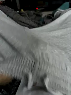 Snapshot of Frankieyyy1 chatting on 28, 11, 2025 Frankieyyy1 online show from 28, 11, 2025