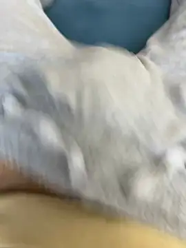 Snapshot of Frankieyyy1 chatting on 15, 3, 2026 Frankieyyy1 online show from 15, 3, 2026