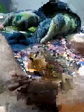 Snapshot of sitonmycock_ chatting on 6, 10, 2025 sitonmycock online show from 6, 10, 2025