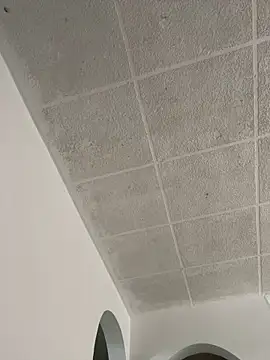 LICEET online show from 25, 9, 2025