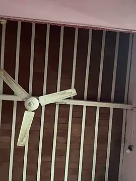 Snapshot of amitsharma7868 chatting on 20, 11, 2025 amitsharma7868 online show from 20, 11, 2025