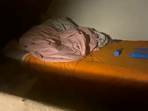 Salon1986 online show from 2, 11, 2025