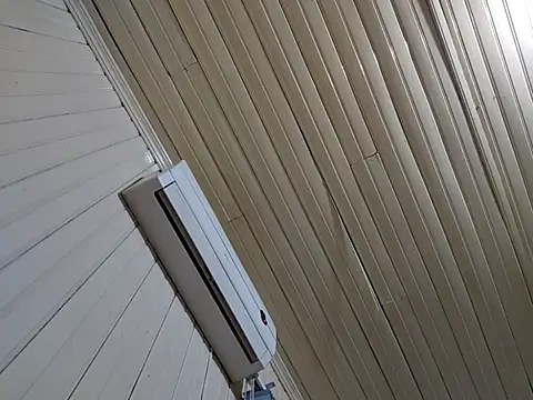 Snapshot of Gustavo198045 chatting on 13, 2, 2026 Gustavo198045 online show from 13, 2, 2026