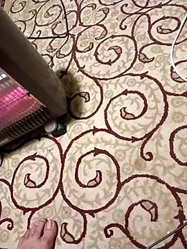 Snapshot of bullut06 chatting on 8, 4, 2026 bullut06 online show from 8, 4, 2026