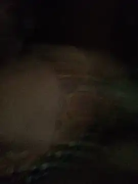 Snapshot of heydimoon4 chatting on 22, 7, 2026 heydimoon4 online show from 22, 7, 2026