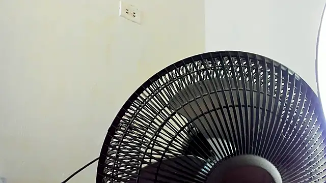 Snapshot of David_niet chatting on 4, 11, 2025 David niet online show from 4, 11, 2025