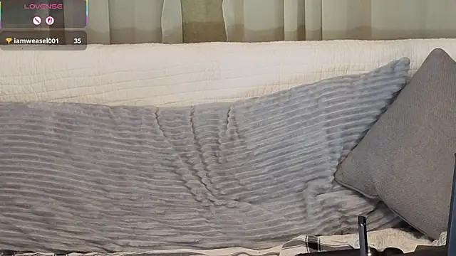 kohlbird online show from 19, 2, 2026