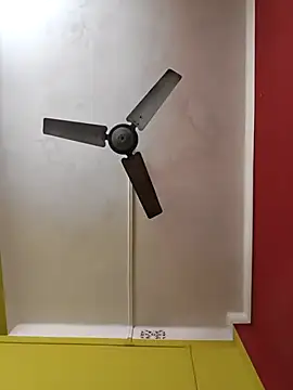 susmicpl online show from 3, 2, 2026