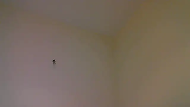 Snapshot of str8matesirishoz chatting on 15, 10, 2025 str8matesirishoz online show from 15, 10, 2025